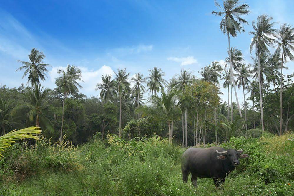 Hotel Samui Le Reve Na Mueang Exteriér fotografie