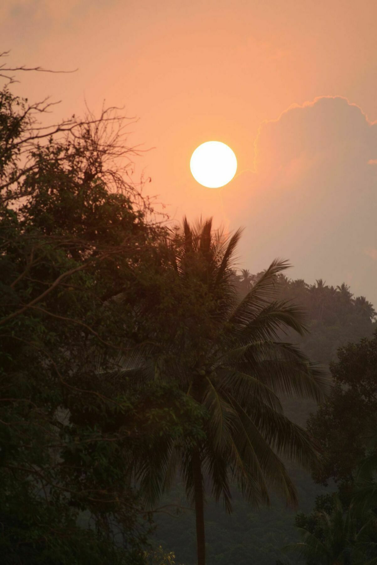Hotel Samui Le Reve Na Mueang Exteriér fotografie